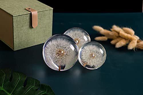 Traumkugel, Briefbeschwerer Löwenzahn. Kristall Wunschkugel. Einzigartiger Briefbeschwerer aus Löwenzahn. Das perfekte Geschenk. (8cm)