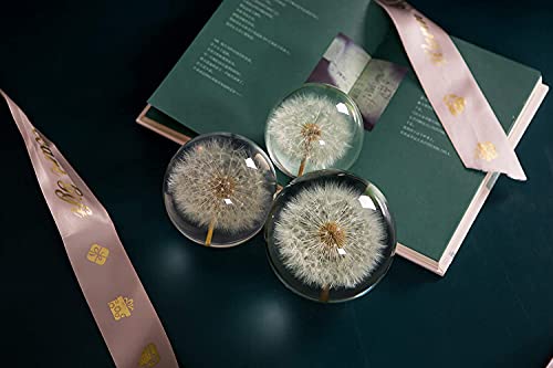Traumkugel, Briefbeschwerer Löwenzahn. Kristall Wunschkugel. Einzigartiger Briefbeschwerer aus Löwenzahn. Das perfekte Geschenk. (8cm)