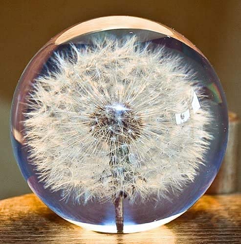 Traumkugel, Briefbeschwerer Löwenzahn. Kristall Wunschkugel. Einzigartiger Briefbeschwerer aus Löwenzahn. Das perfekte Geschenk. (8cm)