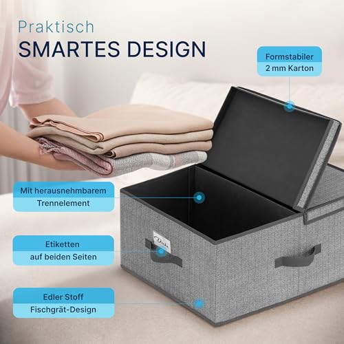 TOPP4u 2er Set große Aufbewahrungs-Box 50L mit Deckel, 2 Fächer 40x50x25cm