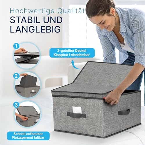 TOPP4u 2er Set große Aufbewahrungs-Box 50L mit Deckel, 2 Fächer 40x50x25cm