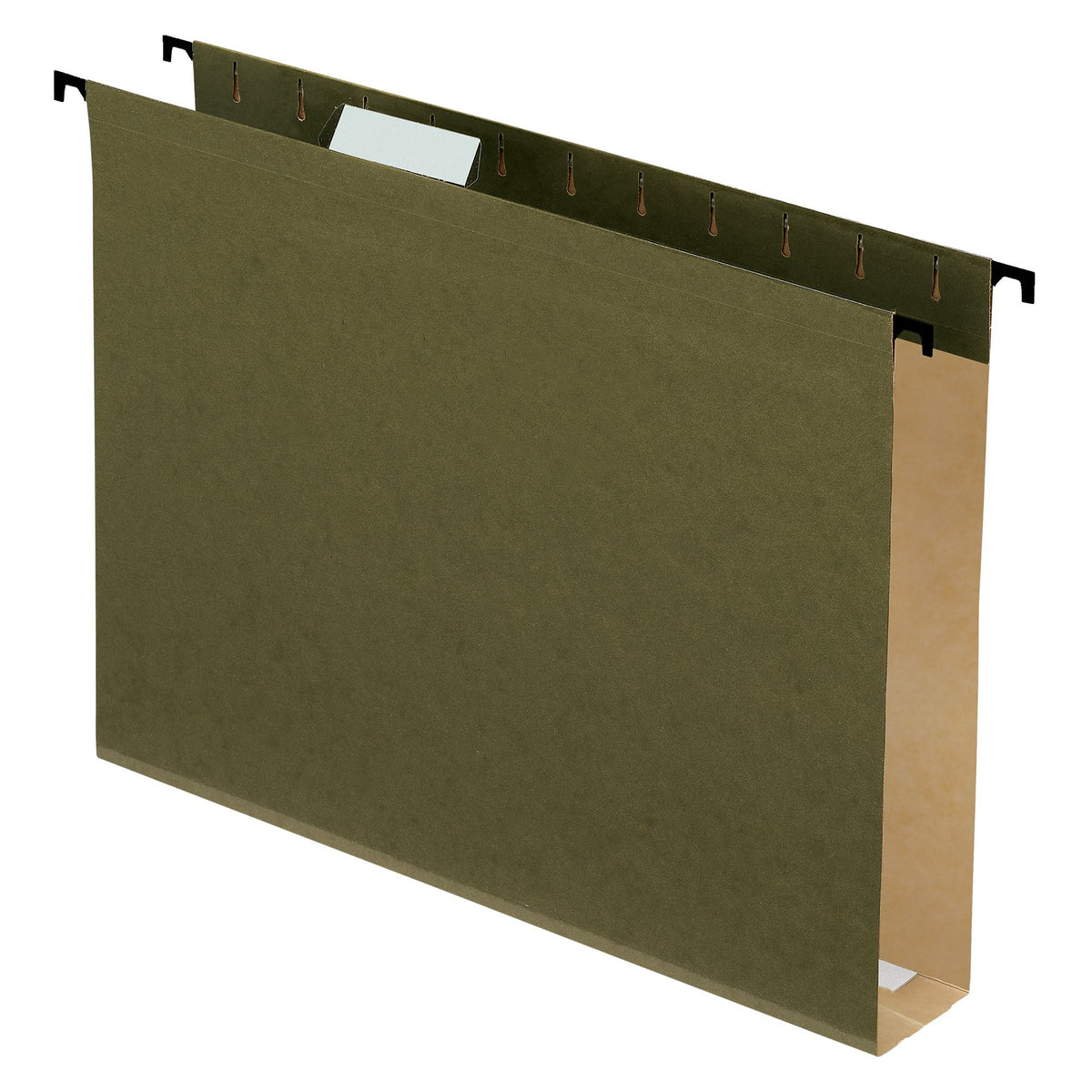 Pendaflex 20 Hängemappe verstärkt Standard grün (6153x2)