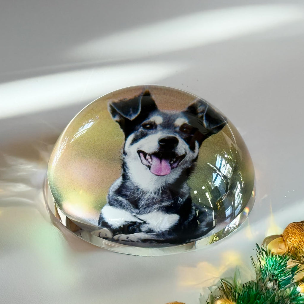 contento - Personalisierter Briefbeschwerer - Foto-Glaskugel - Glas-Briefbeschwerer mit Bild – edles Fotogeschenk in Geschenkbox – für Hochzeit, Jahrestag, Familie & Haustier - Glasdom