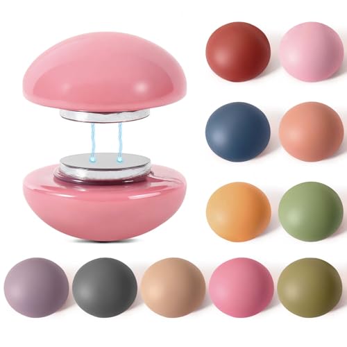 24 Stück Kühlschrankmagnete, 12 Farben Niedlich Mini Magnete