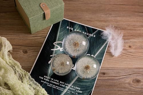 Ornamente Geschenke Glas Briefbeschwerer A Dream Ball Kristall Wunschkugel Einzigartiger Briefbeschwerer aus Pusteblume Das perfekte Geschenk (7 cm) Durchmesser