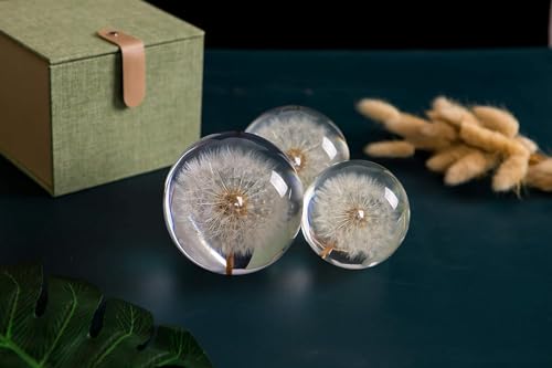 Ornamente Geschenke Glas Briefbeschwerer A Dream Ball Kristall Wunschkugel Einzigartiger Briefbeschwerer aus Pusteblume Das perfekte Geschenk (7 cm) Durchmesser