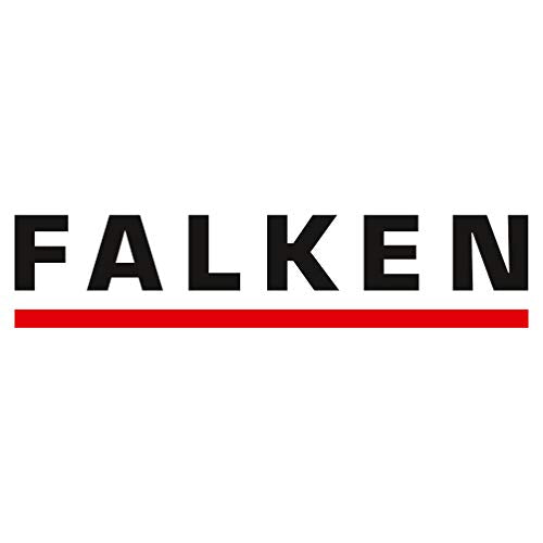 FALKEN Hängesammler Recycling DIN A4 Kartonboden 4 cm braun