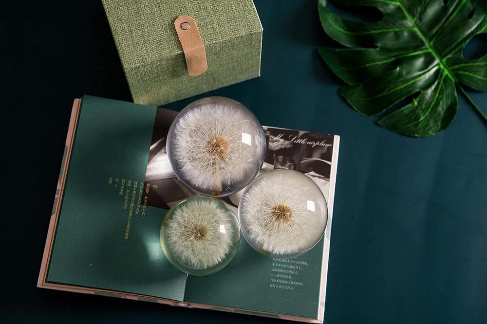 Briefbeschwerer mit Löwenzahn-Traumkugel, Kristall-Wunschkugel, einzigartiger Pusteblumen-Briefbeschwerer, 7 cm Durchmesser