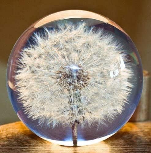 Briefbeschwerer mit Löwenzahn-Traumkugel, Kristall-Wunschkugel, einzigartiger Pusteblumen-Briefbeschwerer, 7 cm Durchmesser