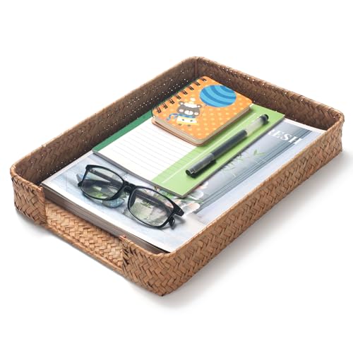 Seegras Briefablage für A4-Akten, Schreibtisch-Organizer für Papierordner, Post, Dokumente, Zeitschriften, Aufbewahrungskorb für Büro
