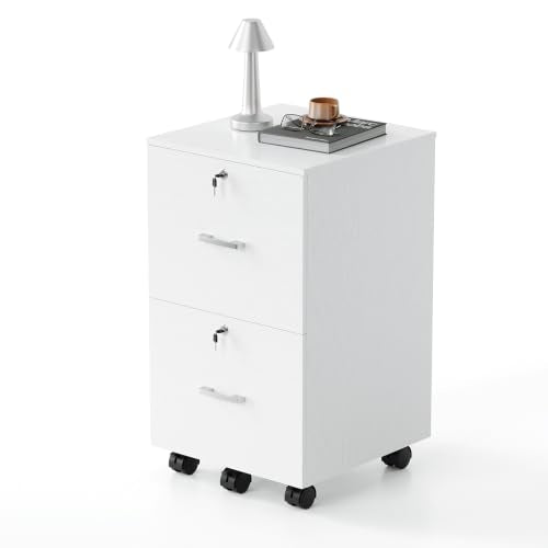 Bonnlo mobiler Aktenschrank 2 Schubladen für Büro, Homeoffice, weiß, Holz