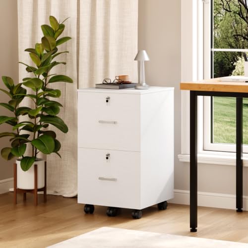 Bonnlo mobiler Aktenschrank 2 Schubladen für Büro, Homeoffice, weiß, Holz