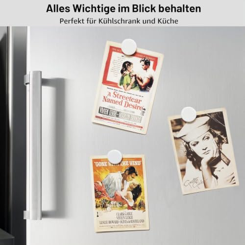 20 starke Kühlschrankmagnete, kleine Magnete für Whiteboard und Spind, robuste Mini-Magnete für Klassenzimmer, Küche und Büro (weiß)