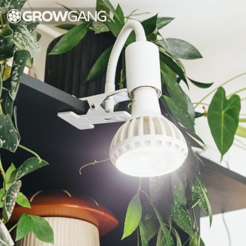 Pianta Pflanzenlampe Clip-On Fassung – 360° Schwanenhals, stabiler Clip für Pflanzenbeleuchtung. Mit Regalhalterung, Tischstecker, LED Clip-On. Perfekt für Schreibtische, Regale & Zimmerpflanzen.