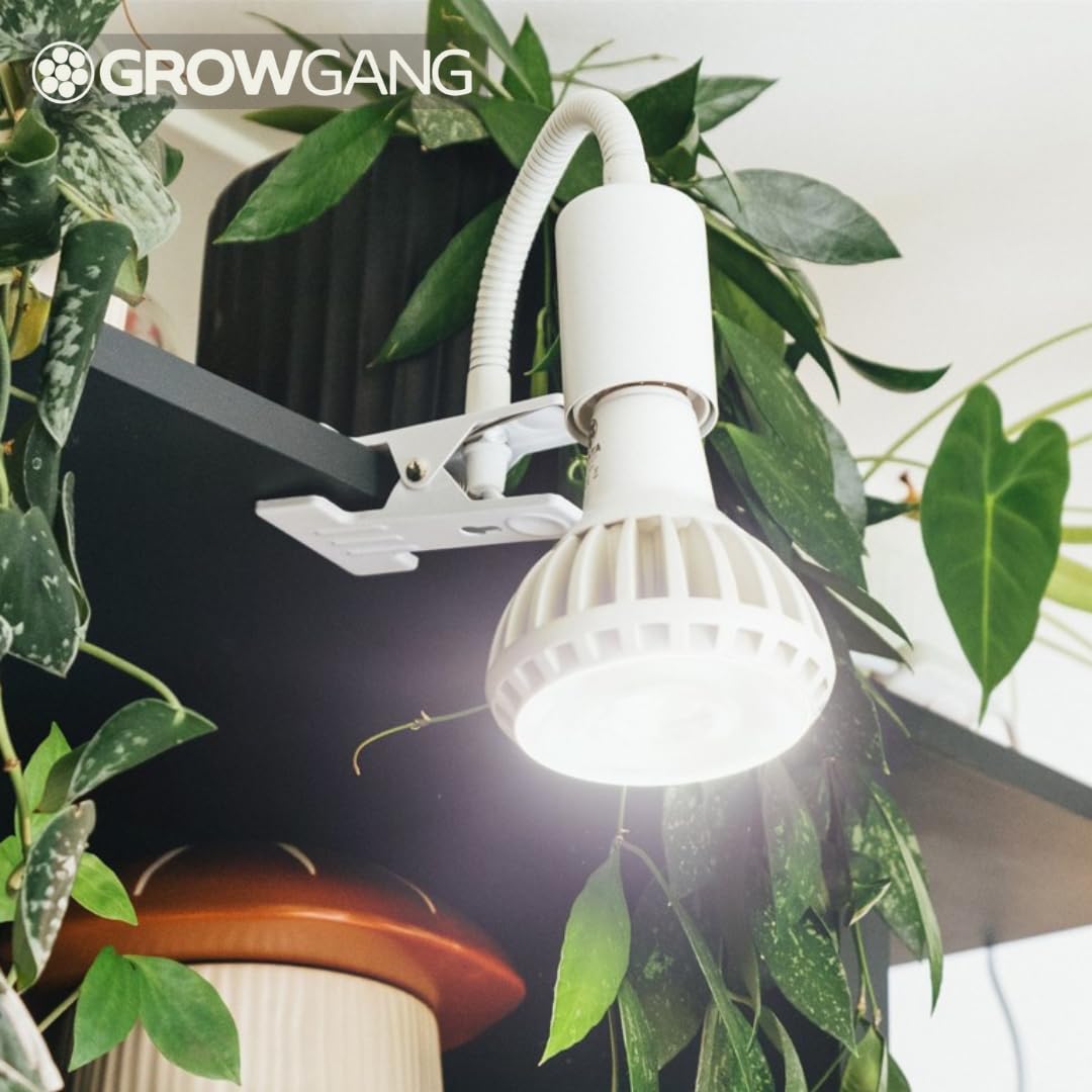 Pianta Pflanzenlampe Clip-On Fassung – 360° Schwanenhals, stabiler Clip für Pflanzenbeleuchtung. Mit Regalhalterung, Tischstecker, LED Clip-On. Perfekt für Schreibtische, Regale & Zimmerpflanzen.