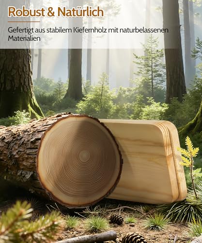 SUMGAR Wandregal Holz, Dekoratives Hängeregal Mit 3 Ablagen, 50 X 58 cm