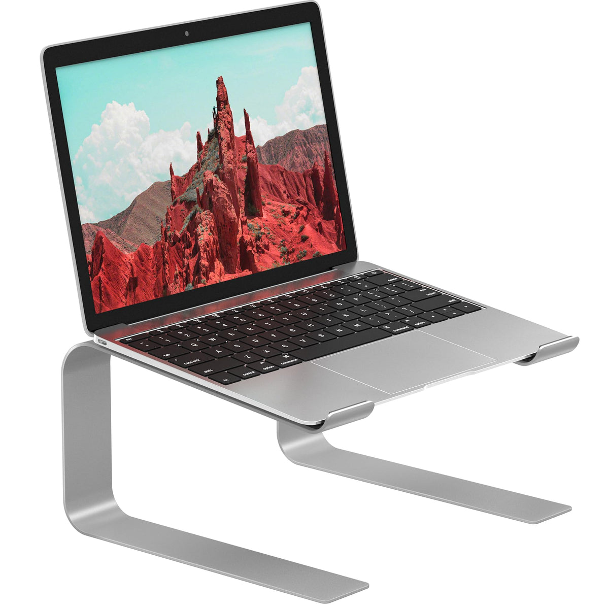 BONTEC Ergonomischer Laptop Ständer für Schreibtisch, 10-17,3 Zoll, Silber