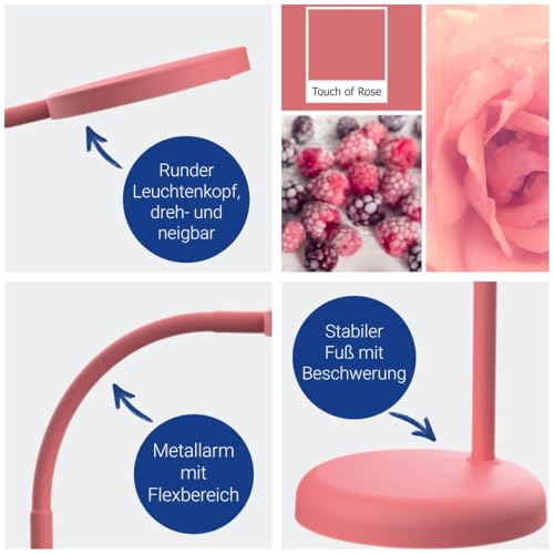 MAUL LED Tischlampe pink MAULjoy Touch of Rose warmweiß fürs Büro