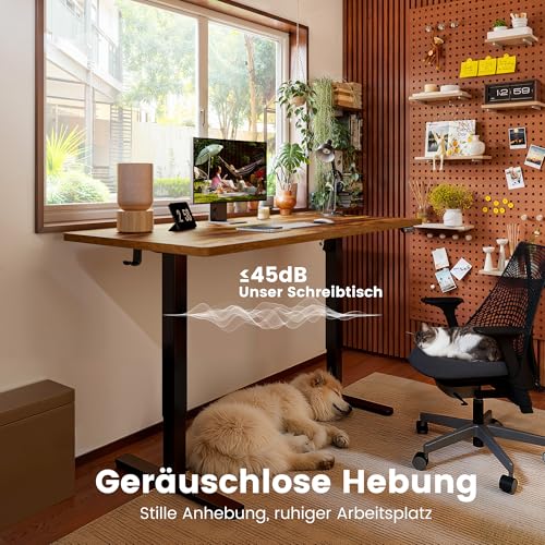 ErGear Höhenverstellbarer Schreibtisch 160x80cm 4-Speicher Geteilte Platte