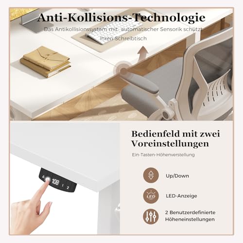 Klicelor Höhenverstellbarer Schreibtisch 120x60 cm mit 2 Speicherplätzen