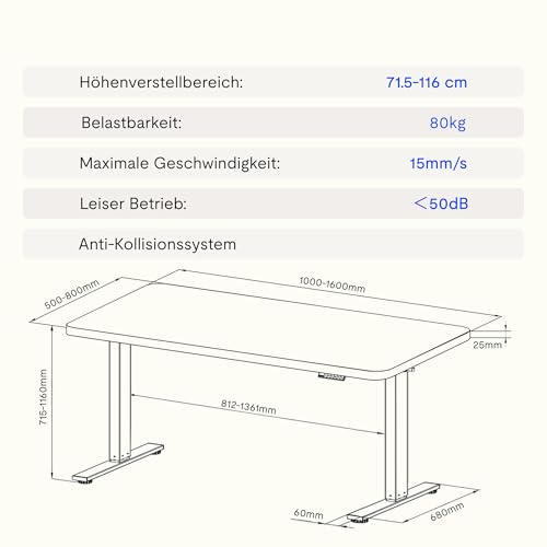 FLEXISPOT Höhenverstellbarer Schreibtisch Basic 140x80cm