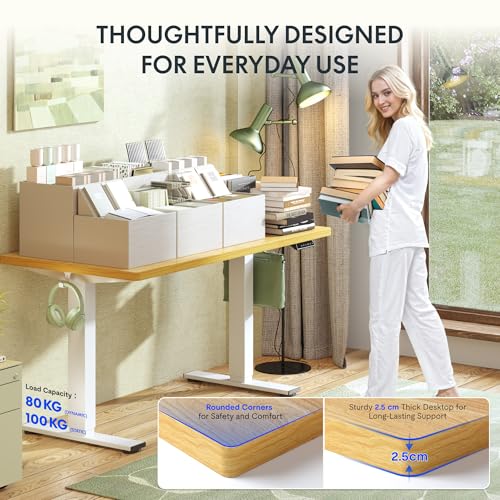 FLEXISPOT Höhenverstellbarer Schreibtisch Basic 140x80cm