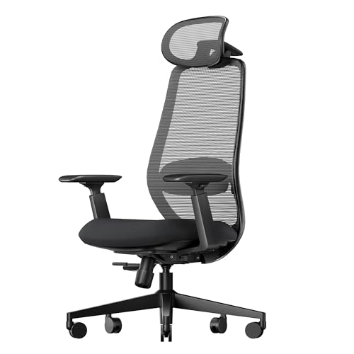ProtoArc EC200 Ergonomischer Bürostuhl mit Verstellbarer Sitztiefe, Schwarz